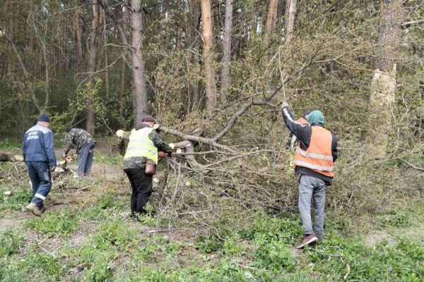Київщина пережила негоду: Білогородка показала, як бути готовими