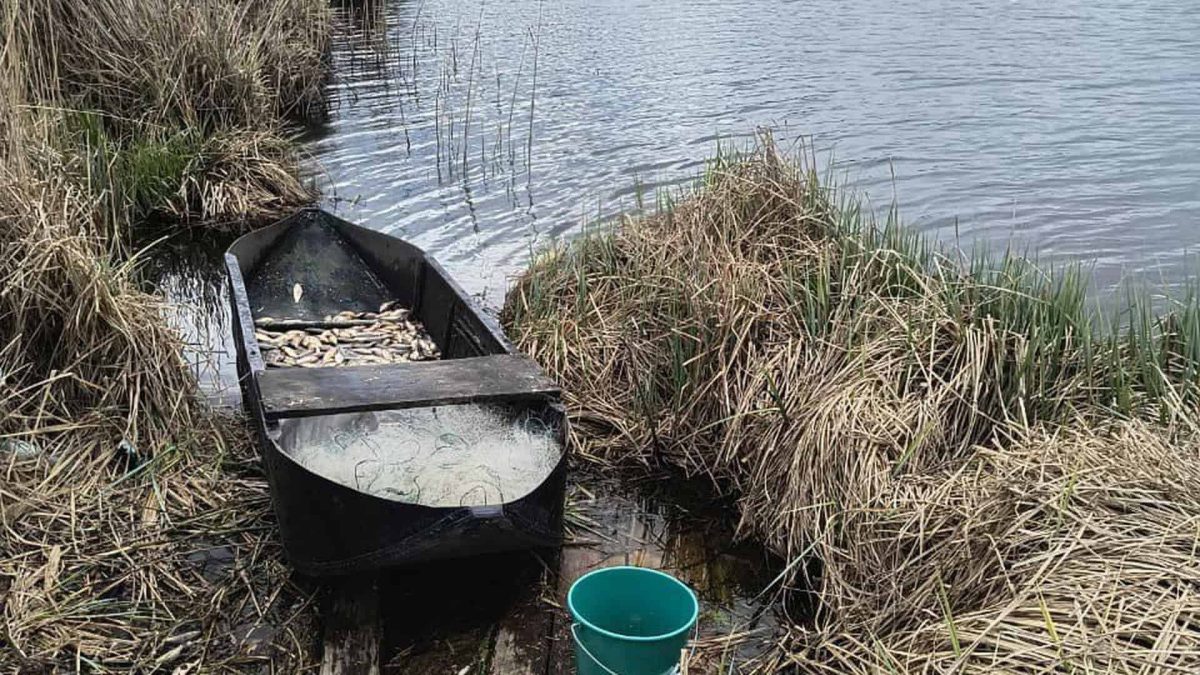 Браконьєрство на Броварщині: як поліція викрила незаконний вилов риби