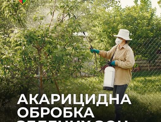 Київ бореться з кліщами: обробка зелених зон у Святошинському районі