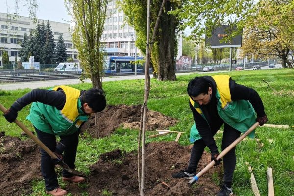 Київ висаджує життя: 633 дерева у рамках акції «1 мільйон дерев життя»