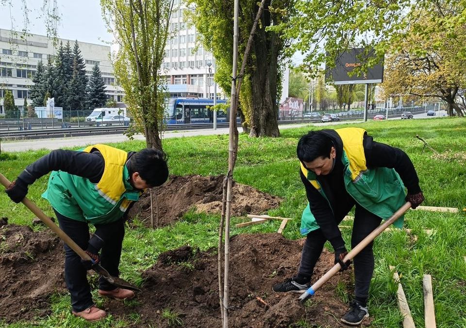 Київ висаджує життя: 633 дерева у рамках акції «1 мільйон дерев життя»