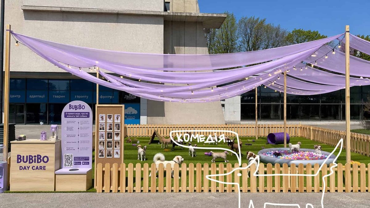 Фестиваль на Куражі: ігрова зона для собак у Києві