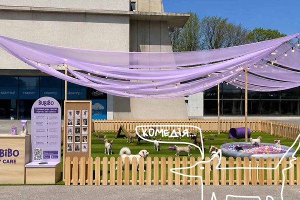 Фестиваль на Куражі: ігрова зона для собак у Києві