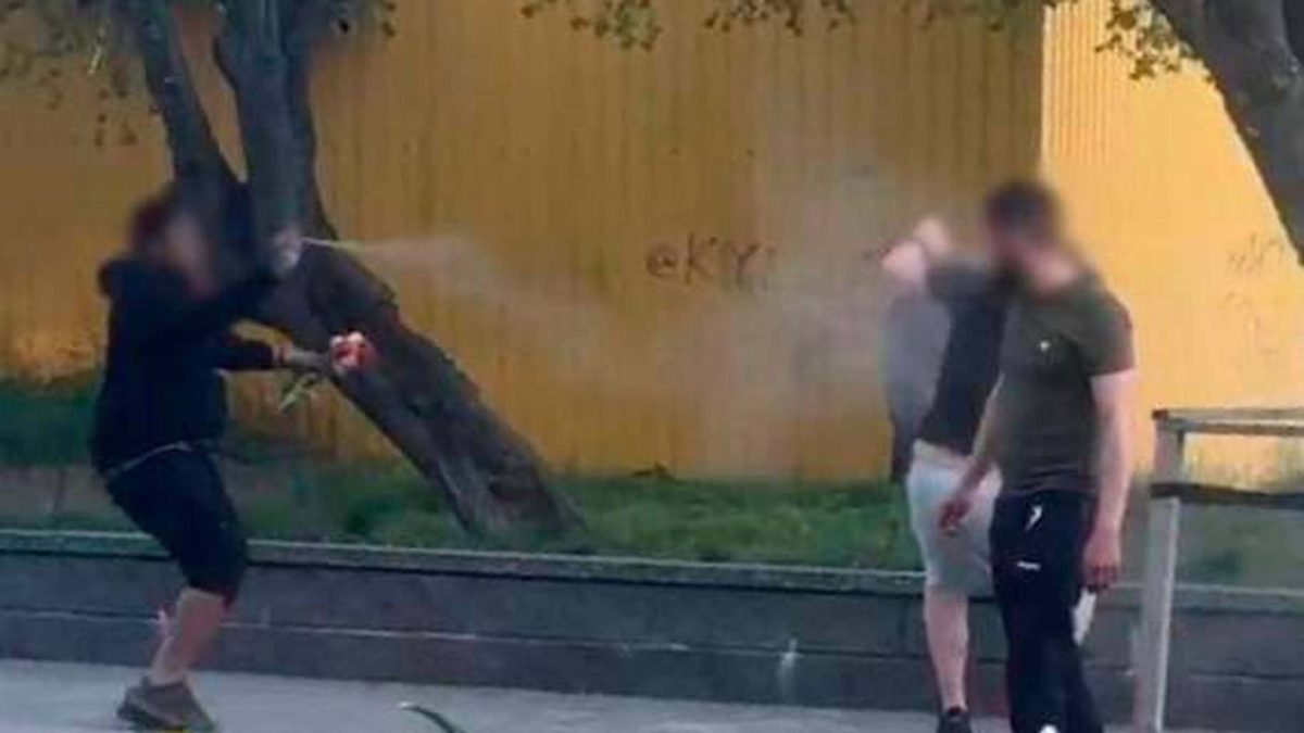 Киянину загрожує 5 років позбавлення волі за напад на поліцейського в парку Києва