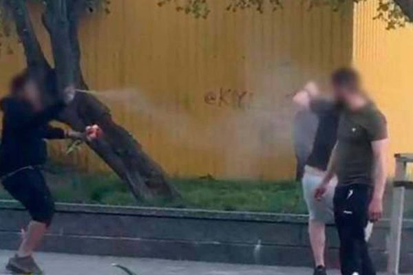 Киянину загрожує 5 років позбавлення волі за напад на поліцейського в парку Києва