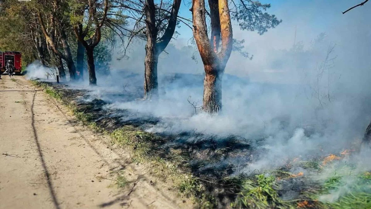 Пожежі в Бучанському районі Києва: 11 займань на 5,6 га